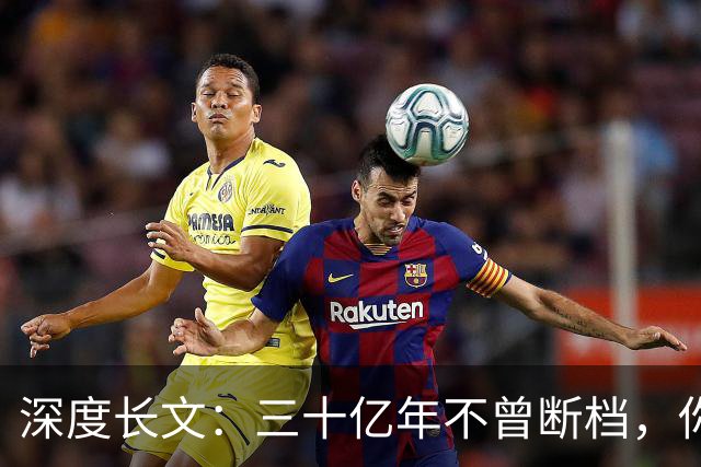 深度长文：三十亿年不曾断档，你本身就是地球上最大的奇迹！